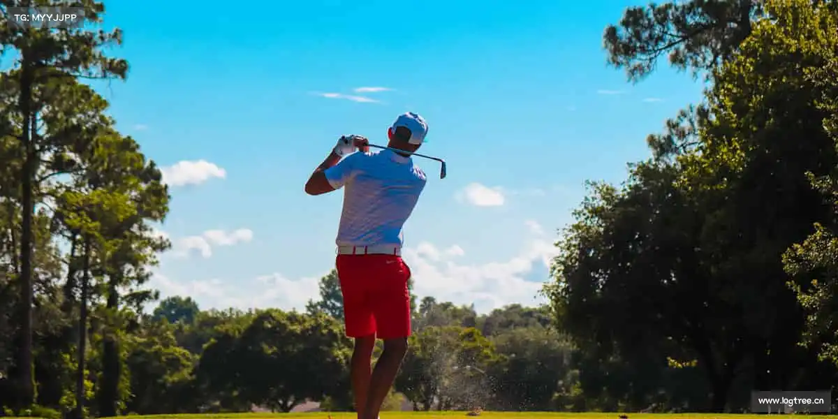 行业领先的理由